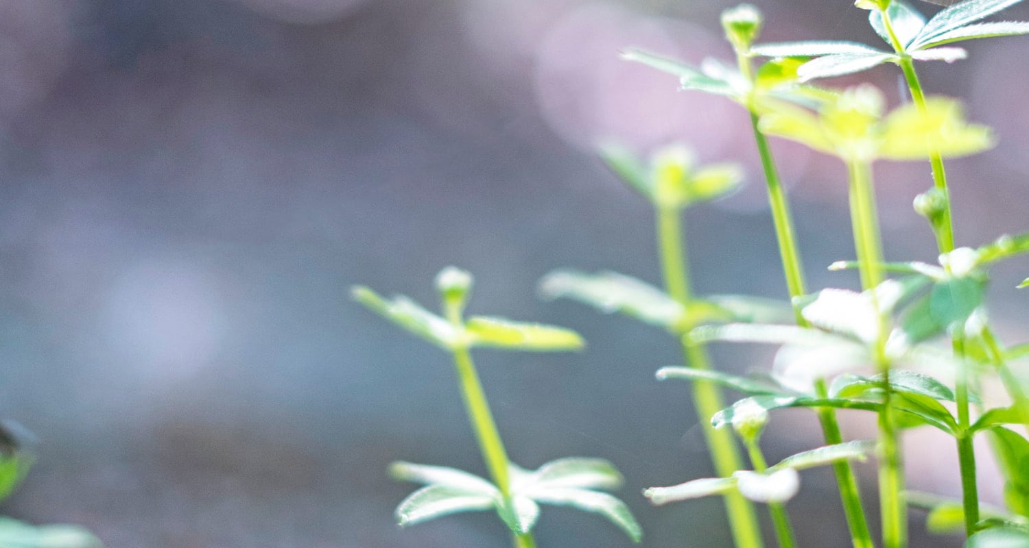 Sustainability ユポのエコへの取り組み